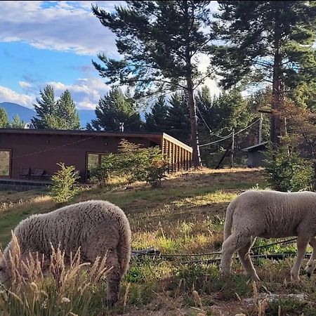 Appartamento Turismo Y Cabanas Dragon De La Patagonia Cochrane Esterno foto