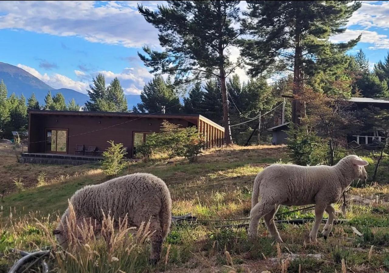 Appartamento Turismo Y Cabanas Dragon De La Patagonia Cochrane Esterno foto